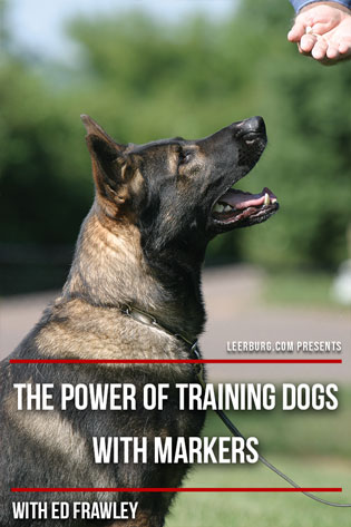The Power of Training Dogs w/ Markers Cover Art