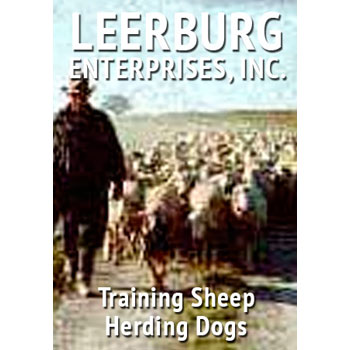 Training Sheep Herding Dogs with Karl Fuller Cover Art