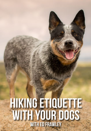 Hiking Etiquette With Your Dogs Cover Art