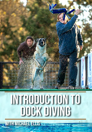 Introduction To Dock Diving with Michael Ellis Cover Art