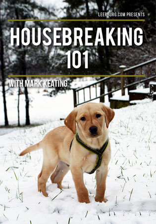 Housebreaking 101 with Mark Keating Cover Art