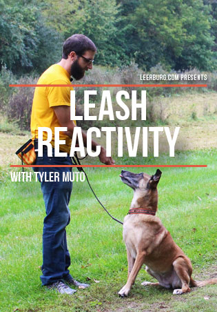 Leash Reactivity with Tyler Muto Cover Art