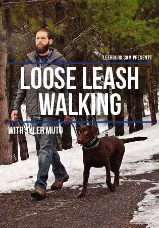 Loose Leash Walking with Tyler Muto Cover Art
