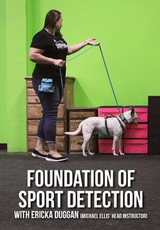 Foundation of Sport Detection with Ericka Duggan Cover Art