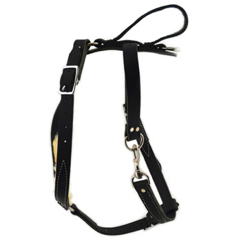 Tracking / Walking dog harness made of leather - H3_1