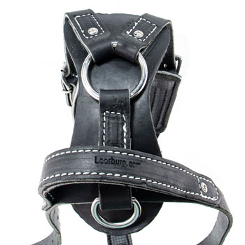 leerburg agitation harness