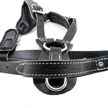 leerburg agitation harness