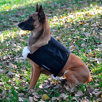 leerburg weighted dog vest