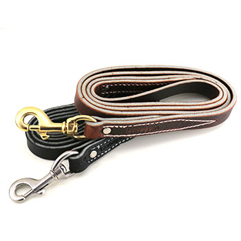 leerburg leash