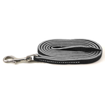 leerburg leash