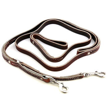 3/4 inch Two Handled Prong Collar Leash