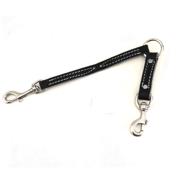 prong collar leash