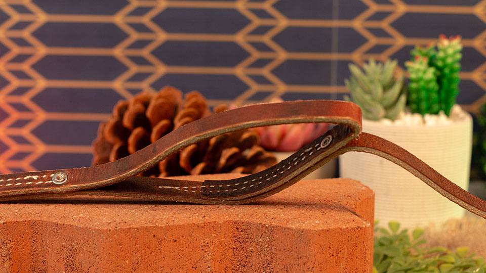 Leerburg 1/2" Two Handle Prong Collar Leash 6ft