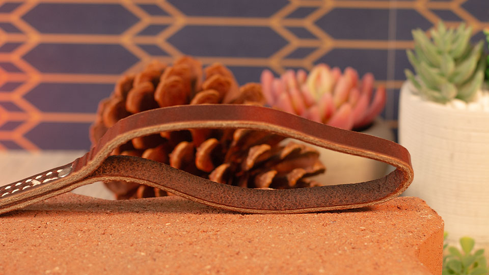 Leerburg 1/2" Two Handle Prong Collar Leash 6ft