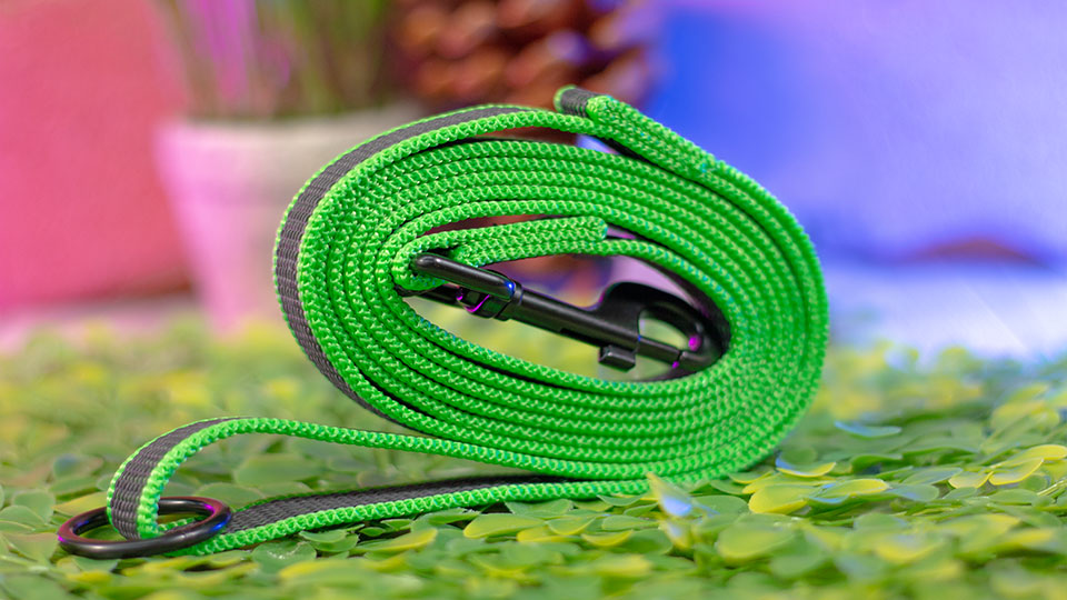 No 2024 slip leash