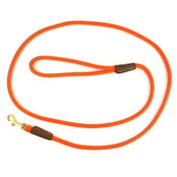 Snap Leash with Handle and Blue Lanyard