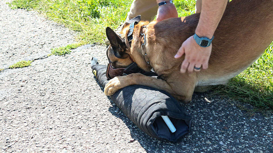 Leerburg | Leerburg's Heavy Duty Police Fighting Muzzle
