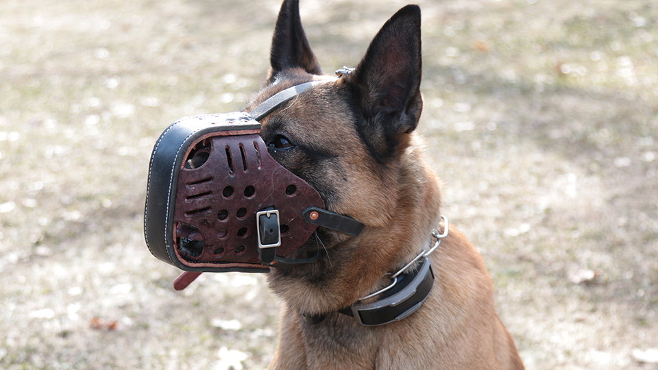 Leerburg | Leerburg's Heavy Duty Police Fighting Muzzle