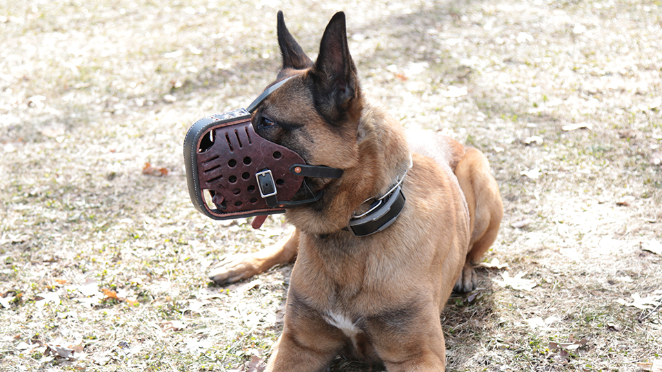 Leerburg | Leerburg's Heavy Duty Police Fighting Muzzle