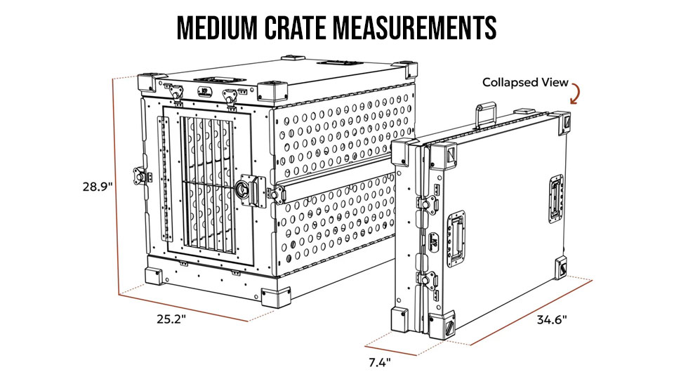 Large Measurements