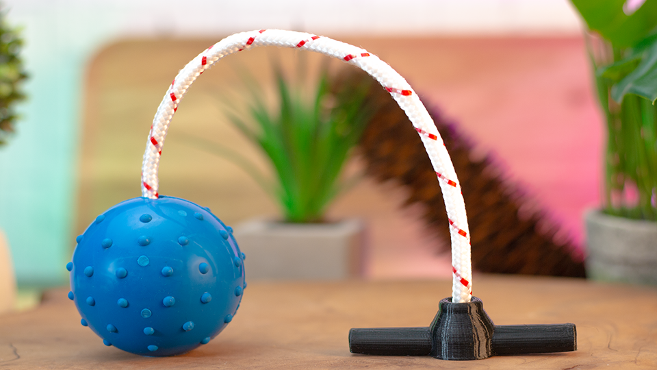 Leerburg Leerburg's Rubber Ball with T Handle