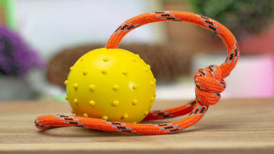 Leerburg Leerburg's Rubber Ball with Nylon Handle