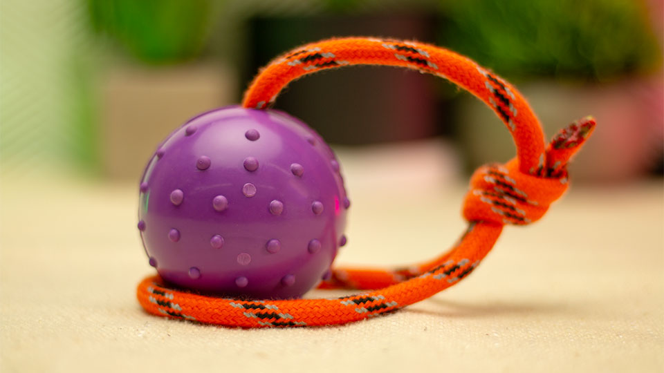 Leerburg's Rubber Ball with Nylon Handle - Purple