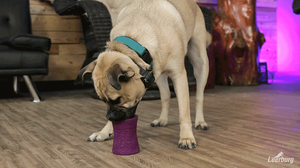 Teeter Breakfast Funnl