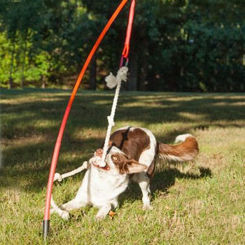 Have an energetic dog with high toy drive? Tether Tug is for them