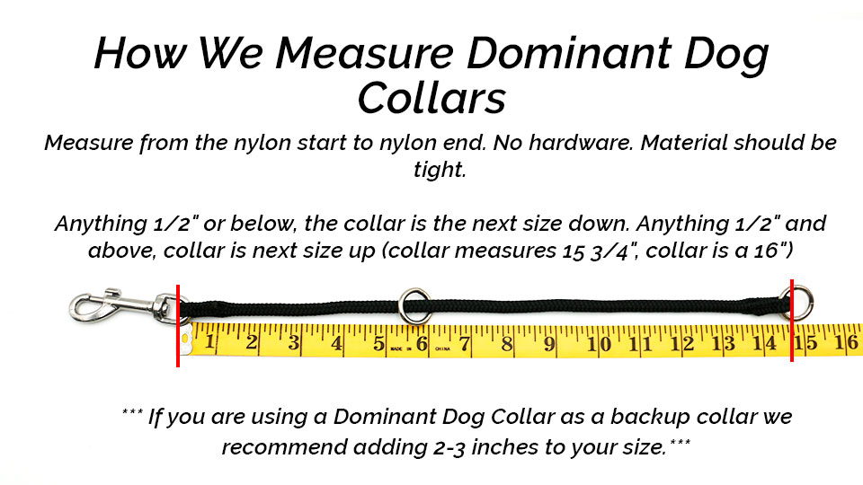 how we measure dominant dog collar
