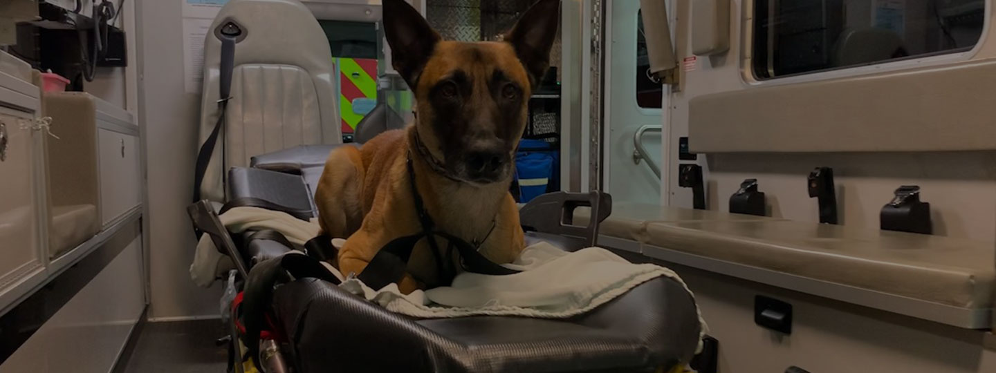 Leerburg x OPK9 - Operational K9 Medical Team of Wisconsin