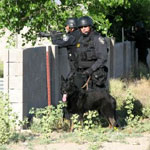 Training Police Service Dogs