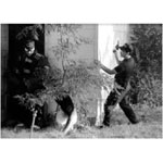 Tactical Training with Police Service Dogs
