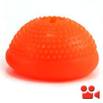 Everlasting Bento Ball