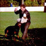 Training the Schutzhund Trial Helper