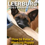 How to Raise a Working Puppy