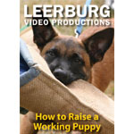 How to Raise a Working Puppy