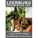 Living With You Puppy: Establishing Pack Structure DVD