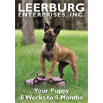Your Puppy 8 Weeks to 8 Months DVD