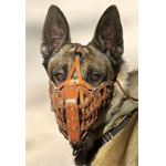 Muzzle Fighting for Police Service Dogs