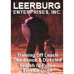 Training Off-Leash Control and Directed Search to Police Service Dogs