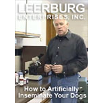 How to Artificially Inseminate Your Dog DVD