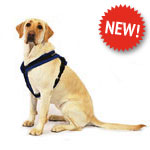 Walkeez Harness