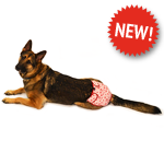 Doggie Diaper