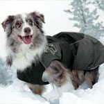 Hurtta Winter Jacket