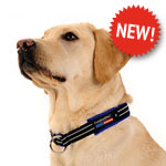 ComfortFlex Limited Slip Collar