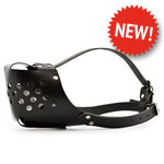 Black Plastic Muzzle with Leather Straps