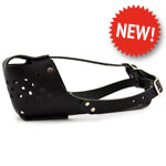 Standard Working Leather Dog Muzzle