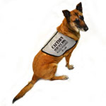 Reflective Service Dog Vest