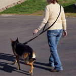 Hands Free Molded Handle Leash